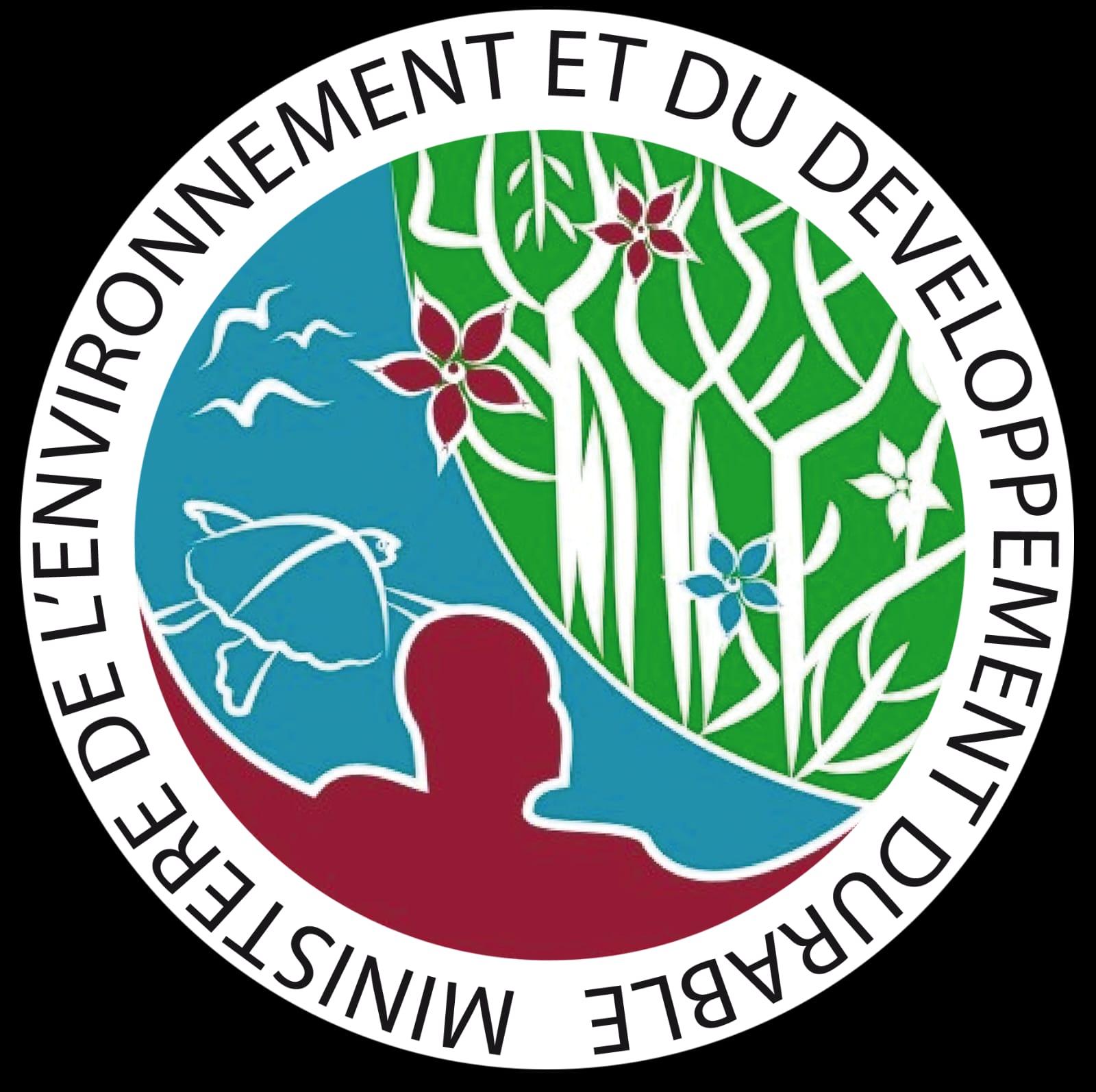 MEDDRDV Logo
